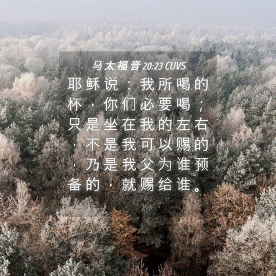 Picture 04 - 马 太 福 音 20:23 CUVS - 耶 稣 说 ： 我 所 喝 的 杯 ， 你 们 - Bible Verse Picture