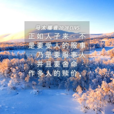 Picture 04 - 马 太 福 音 20:28 CUVS - 正 如 人 子 来 ， 不 是 要 受 人 的 - Bible Verse Picture