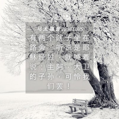 Picture 04 - 马 太 福 音 20:30 CUVS - 有 两 个 瞎 子 坐 在 路 旁 ， 听 说 - Bible Verse Picture