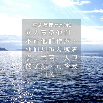 Picture 04 - 马 太 福 音 20:31 CUVS - 众 人 责 备 他 们 ， 不 许 他 们 作 - Bible Verse Picture