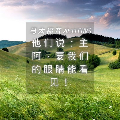 Picture 04 - 马 太 福 音 20:33 CUVS - 他 们 说 ： 主 阿 ， 要 我 们 的 眼 - Bible Verse Picture