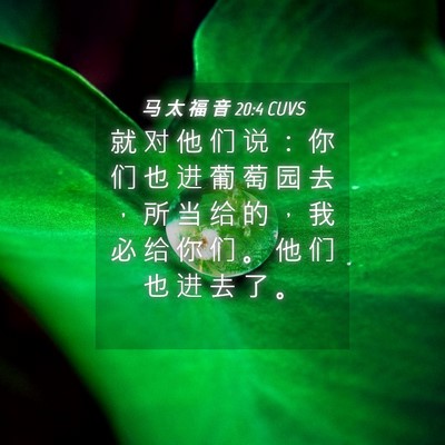 Picture 04 - 马 太 福 音 20:4 CUVS - 就 对 他 们 说 ： 你 们 也 进 葡 萄 - Bible Verse Picture