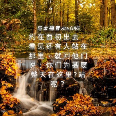 Picture 04 - 马 太 福 音 20:6 CUVS - 约 在 酉 初 出 去 ， 看 见 还 有 人 - Bible Verse Picture