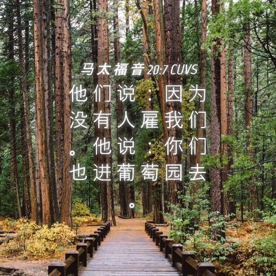 Picture 04 - 马 太 福 音 20:7 CUVS - 他 们 说 ： 因 为 没 有 人 雇 我 们 - Bible Verse Picture