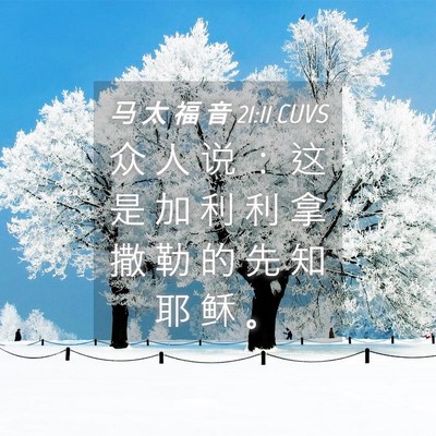 Picture 04 - 马 太 福 音 21:11 CUVS - 众 人 说 ： 这 是 加 利 利 拿 撒 勒 - Bible Verse Picture
