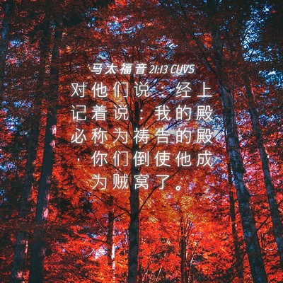 Picture 04 - 马 太 福 音 21:13 CUVS - 对 他 们 说 ： 经 上 记 着 说 ： 我 - Bible Verse Picture