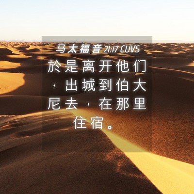 Picture 04 - 马 太 福 音 21:17 CUVS - 於 是 离 开 他 们 ， 出 城 到 伯 大 - Bible Verse Picture