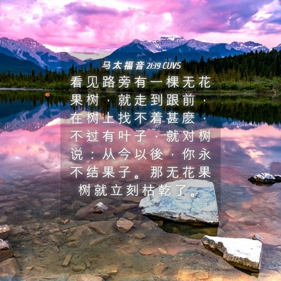 Picture 04 - 马 太 福 音 21:19 CUVS - 看 见 路 旁 有 一 棵 无 花 果 树 ， - Bible Verse Picture