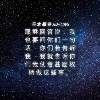 Picture 04 - 马 太 福 音 21:24 CUVS - 耶 稣 回 答 说 ： 我 也 要 问 你 们 - Bible Verse Picture