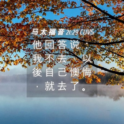 Picture 04 - 马 太 福 音 21:29 CUVS - 他 回 答 说 ： 我 不 去 ， 以 後 自 - Bible Verse Picture