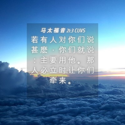 Picture 04 - 马 太 福 音 21:3 CUVS - 若 有 人 对 你 们 说 甚 麽 ， 你 们 - Bible Verse Picture