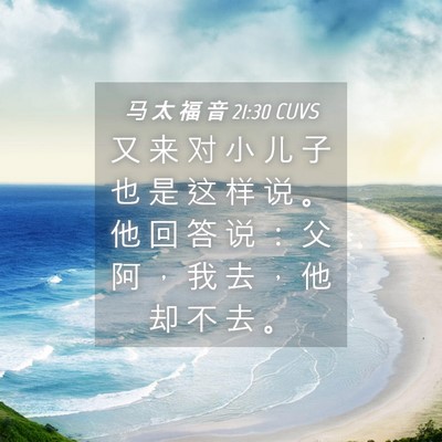 Picture 04 - 马 太 福 音 21:30 CUVS - 又 来 对 小 儿 子 也 是 这 样 说 。 - Bible Verse Picture