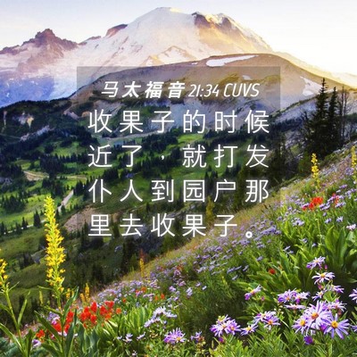 Picture 04 - 马 太 福 音 21:34 CUVS - 收 果 子 的 时 候 近 了 ， 就 打 发 - Bible Verse Picture