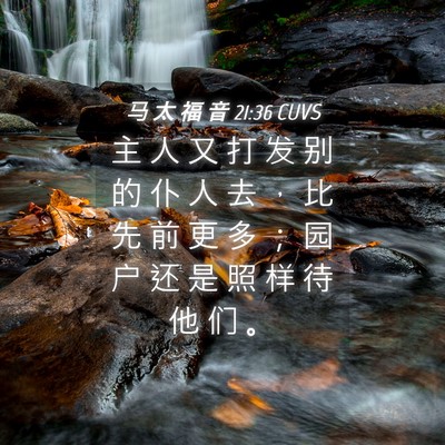 Picture 04 - 马 太 福 音 21:36 CUVS - 主 人 又 打 发 别 的 仆 人 去 ， 比 - Bible Verse Picture