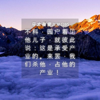 Picture 04 - 马 太 福 音 21:38 CUVS - 不 料 ， 园 户 看 见 他 儿 子 ， 就 - Bible Verse Picture
