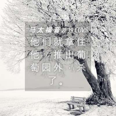 Picture 04 - 马 太 福 音 21:39 CUVS - 他 们 就 拿 住 他 ， 推 出 葡 萄 园 - Bible Verse Picture
