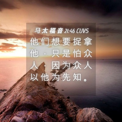 Picture 04 - 马 太 福 音 21:46 CUVS - 他 们 想 要 捉 拿 他 ， 只 是 怕 众 - Bible Verse Picture