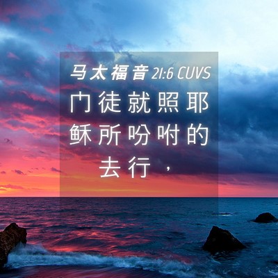 Picture 04 - 马 太 福 音 21:6 CUVS - 门 徒 就 照 耶 稣 所 吩 咐 的 去 行 - Bible Verse Picture