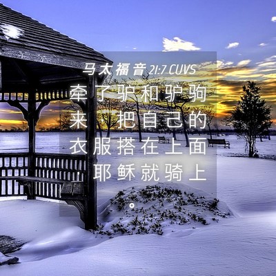 Picture 04 - 马 太 福 音 21:7 CUVS - 牵 了 驴 和 驴 驹 来 ， 把 自 己 的 - Bible Verse Picture