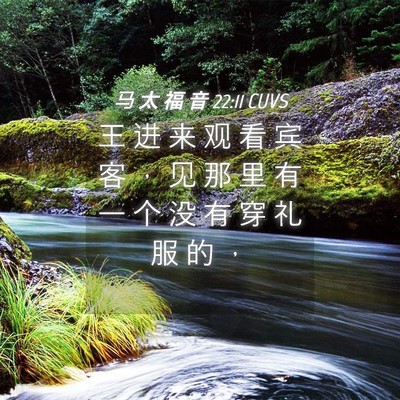 Picture 04 - 马 太 福 音 22:11 CUVS - 王 进 来 观 看 宾 客 ， 见 那 里 有 - Bible Verse Picture