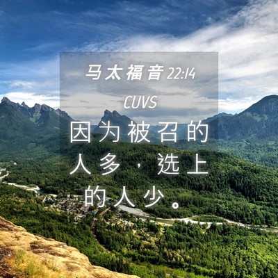 Picture 04 - 马 太 福 音 22:14 CUVS - 因 为 被 召 的 人 多 ， 选 上 的 人 - Bible Verse Picture