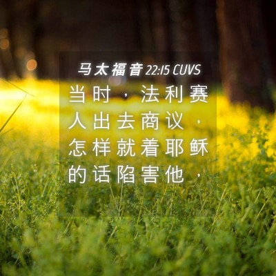 Picture 04 - 马 太 福 音 22:15 CUVS - 当 时 ， 法 利 赛 人 出 去 商 议 ， - Bible Verse Picture