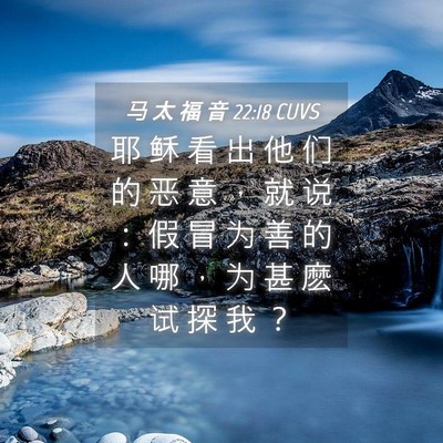 Picture 04 - 马 太 福 音 22:18 CUVS - 耶 稣 看 出 他 们 的 恶 意 ， 就 说 - Bible Verse Picture
