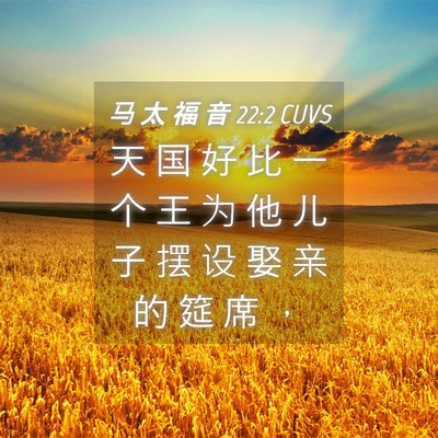 Picture 04 - 马 太 福 音 22:2 CUVS - 天 国 好 比 一 个 王 为 他 儿 子 摆 - Bible Verse Picture