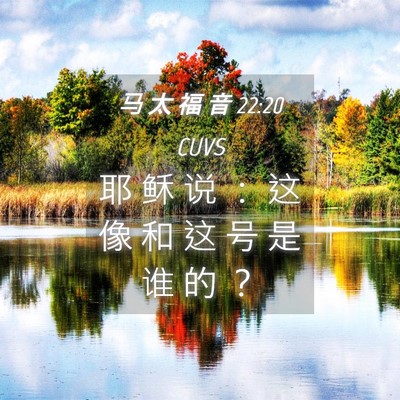 Picture 04 - 马 太 福 音 22:20 CUVS - 耶 稣 说 ： 这 像 和 这 号 是 谁 的 - Bible Verse Picture