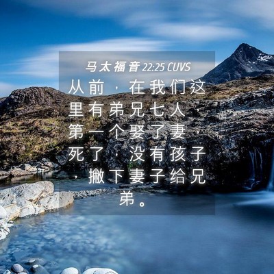 Picture 04 - 马 太 福 音 22:25 CUVS - 从 前 ， 在 我 们 这 里 有 弟 兄 七 - Bible Verse Picture