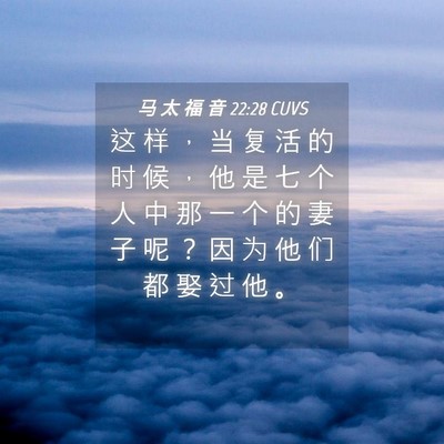 Picture 04 - 马 太 福 音 22:28 CUVS - 这 样 ， 当 复 活 的 时 候 ， 他 是 - Bible Verse Picture