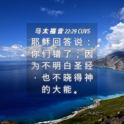 Picture 04 - 马 太 福 音 22:29 CUVS - 耶 稣 回 答 说 ： 你 们 错 了 ； 因 - Bible Verse Picture
