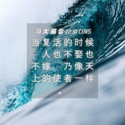 Picture 04 - 马 太 福 音 22:30 CUVS - 当 复 活 的 时 候 ， 人 也 不 娶 也 - Bible Verse Picture