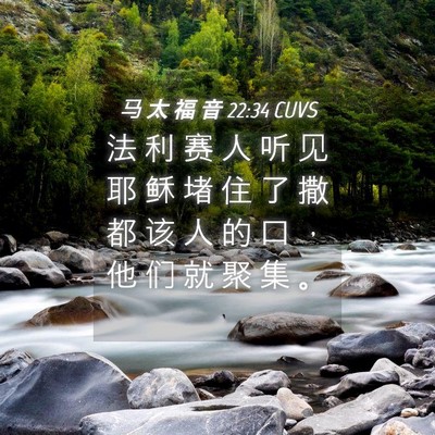 Picture 04 - 马 太 福 音 22:34 CUVS - 法 利 赛 人 听 见 耶 稣 堵 住 了 撒 - Bible Verse Picture