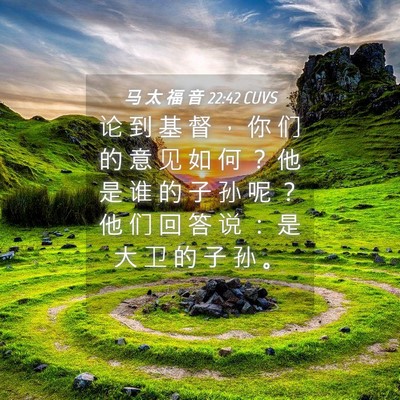 Picture 04 - 马 太 福 音 22:42 CUVS - 论 到 基 督 ， 你 们 的 意 见 如 何 - Bible Verse Picture