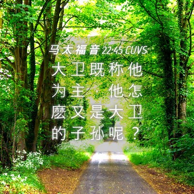 Picture 04 - 马 太 福 音 22:45 CUVS - 大 卫 既 称 他 为 主 ， 他 怎 麽 又 - Bible Verse Picture