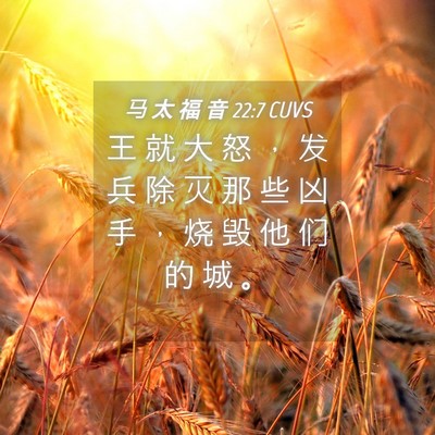 Picture 04 - 马 太 福 音 22:7 CUVS - 王 就 大 怒 ， 发 兵 除 灭 那 些 凶 - Bible Verse Picture