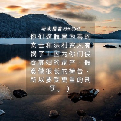 Picture 04 - 马 太 福 音 23:14 CUVS - 你 们 这 假 冒 为 善 的 文 士 和 法 - Bible Verse Picture