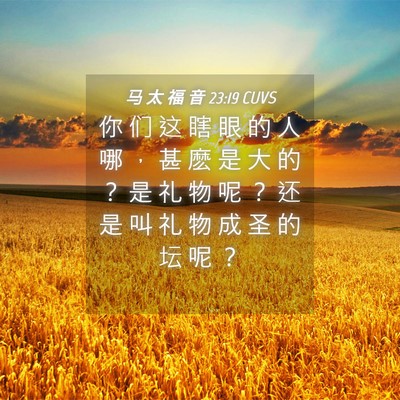 Picture 04 - 马 太 福 音 23:19 CUVS - 你 们 这 瞎 眼 的 人 哪 ， 甚 麽 是 - Bible Verse Picture