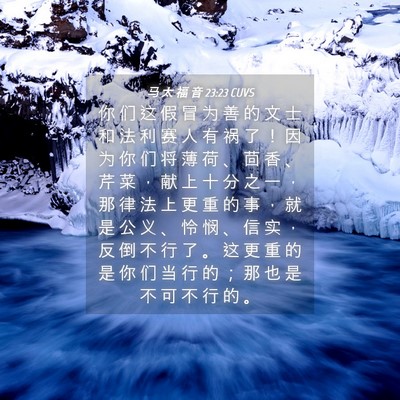 Picture 04 - 马 太 福 音 23:23 CUVS - 你 们 这 假 冒 为 善 的 文 士 和 法 - Bible Verse Picture