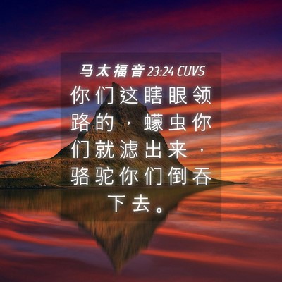 Picture 04 - 马 太 福 音 23:24 CUVS - 你 们 这 瞎 眼 领 路 的 ， 蠓 虫 你 - Bible Verse Picture