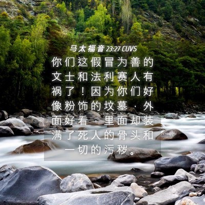 Picture 04 - 马 太 福 音 23:27 CUVS - 你 们 这 假 冒 为 善 的 文 士 和 法 - Bible Verse Picture