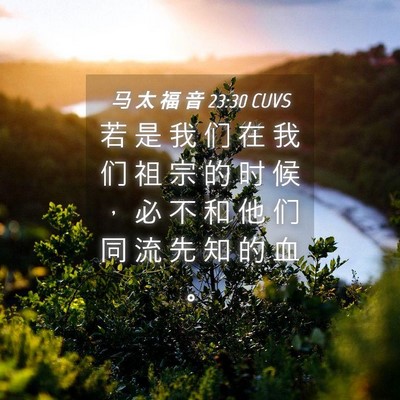 Picture 04 - 马 太 福 音 23:30 CUVS - 若 是 我 们 在 我 们 祖 宗 的 时 候 - Bible Verse Picture