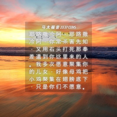 Picture 04 - 马 太 福 音 23:37 CUVS - 耶 路 撒 冷 阿 ， 耶 路 撒 冷 阿 ， - Bible Verse Picture