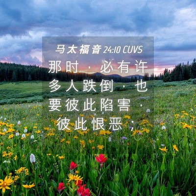 Picture 04 - 马 太 福 音 24:10 CUVS - 那 时 ， 必 有 许 多 人 跌 倒 ， 也 - Bible Verse Picture