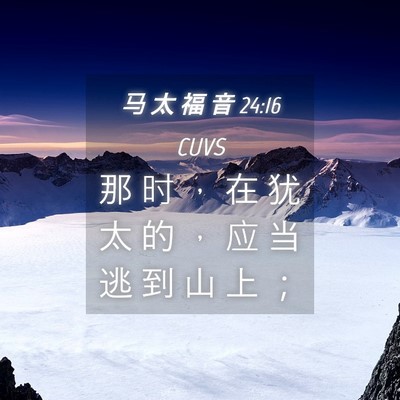 Picture 04 - 马 太 福 音 24:16 CUVS - 那 时 ， 在 犹 太 的 ， 应 当 逃 到 - Bible Verse Picture