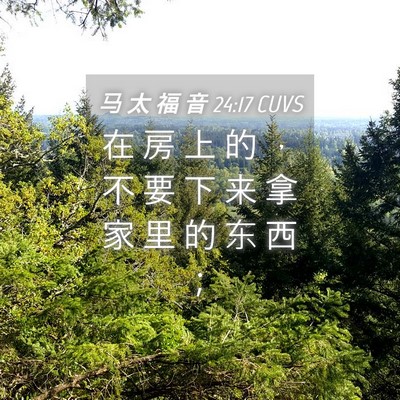 Picture 04 - 马 太 福 音 24:17 CUVS - 在 房 上 的 ， 不 要 下 来 拿 家 里 - Bible Verse Picture