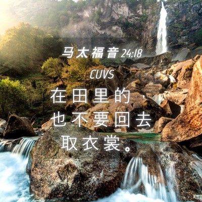 Picture 04 - 马 太 福 音 24:18 CUVS - 在 田 里 的 ， 也 不 要 回 去 取 衣 - Bible Verse Picture