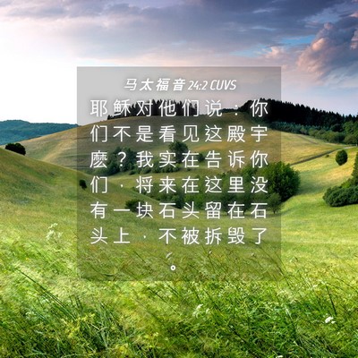 Picture 04 - 马 太 福 音 24:2 CUVS - 耶 稣 对 他 们 说 ： 你 们 不 是 看 - Bible Verse Picture
