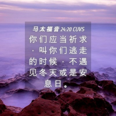 Picture 04 - 马 太 福 音 24:20 CUVS - 你 们 应 当 祈 求 ， 叫 你 们 逃 走 - Bible Verse Picture